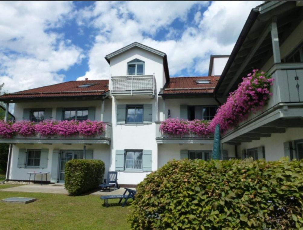 Ferienwohnanlage Bruennstein Wohnung 54 오베라우도프 외부 사진